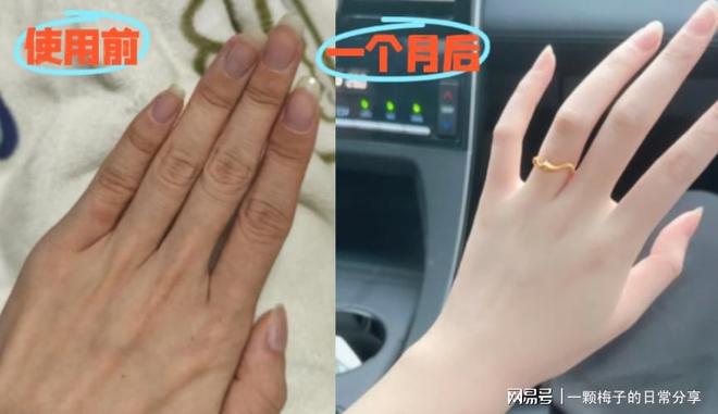 10款回购党私藏清单大公开！这款惊艳众人AG旗舰厅最新版护手霜什么牌子效果好？(图1)