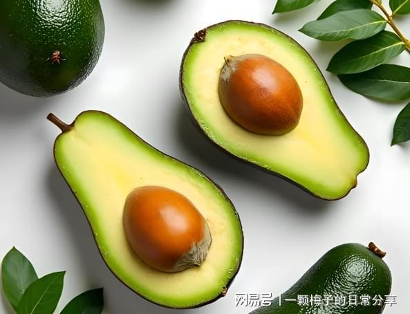 10款回购党私藏清单大公开！这款惊艳众人AG旗舰厅最新版护手霜什么牌子效果好？(图9)